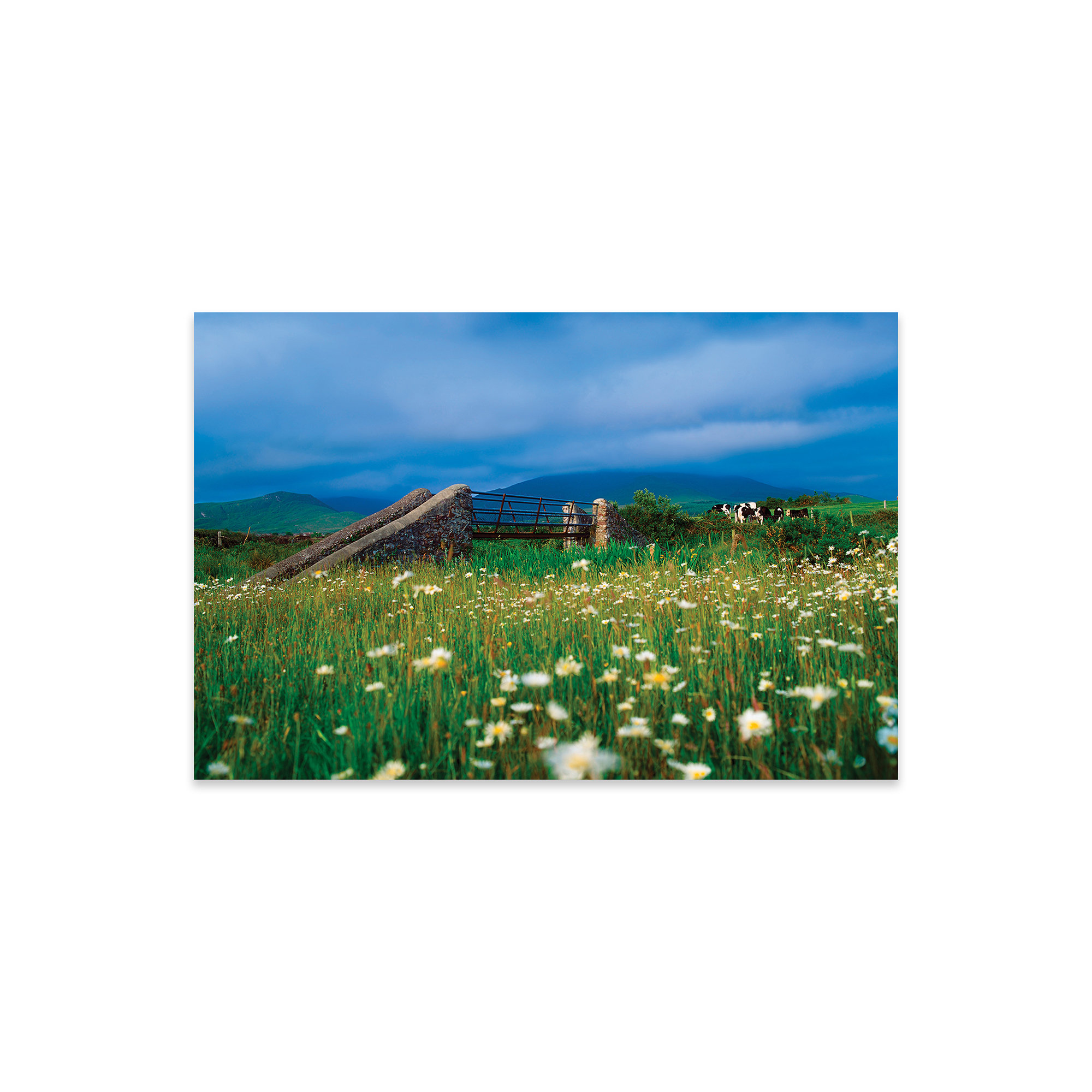 Latitude Run® " Bridge At Castlegregory, Dingle Peninsula, Co Kerry, Ireland " by Irish Image
